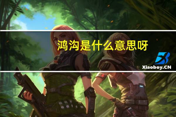 鸿沟是什么意思呀