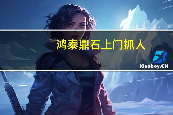鸿泰鼎石上门抓人(鸿泰鼎石)