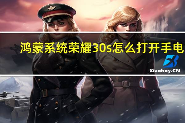 鸿蒙系统荣耀30s怎么打开手电筒（荣耀30s手电筒在哪里）