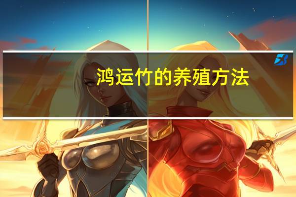 鸿运竹的养殖方法