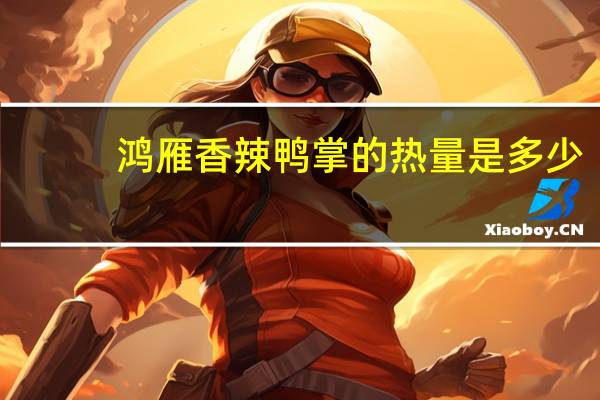 鸿雁 香辣鸭掌的热量是多少
