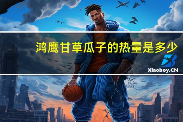 鸿鹰 甘草瓜子的热量是多少