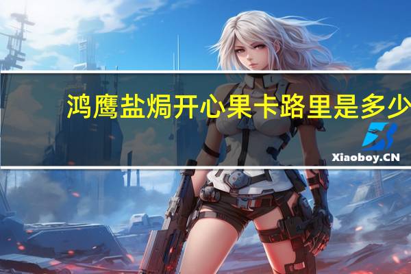 鸿鹰 盐焗开心果卡路里是多少