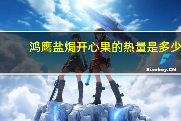 鸿鹰 盐焗开心果的热量是多少