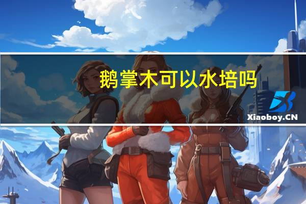 鹅掌木可以水培吗