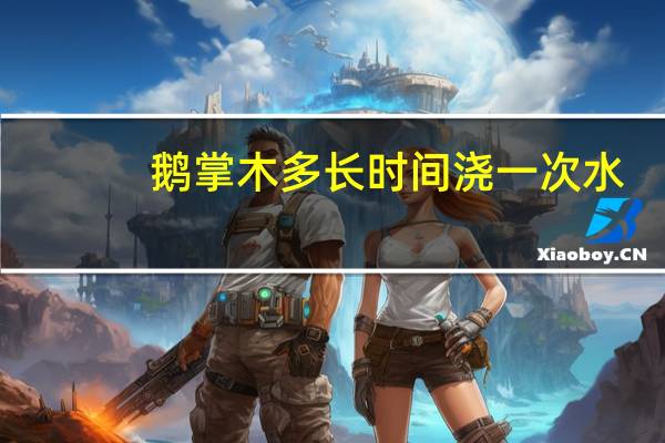 鹅掌木多长时间浇一次水