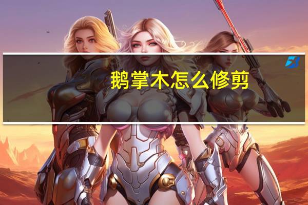 鹅掌木怎么修剪