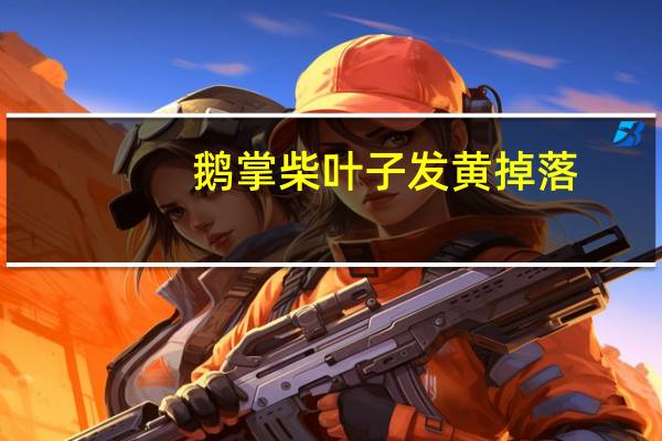 鹅掌柴叶子发黄掉落