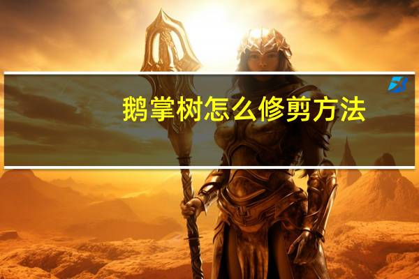 鹅掌树怎么修剪方法