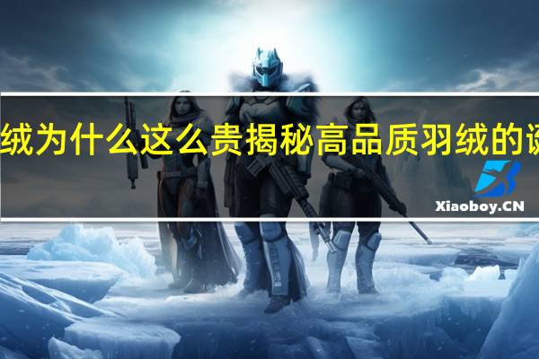 鹅绒为什么这么贵 揭秘高品质羽绒的诞生过程