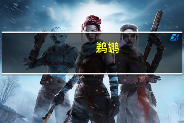 鹈鹕(关于鹈鹕的介绍)