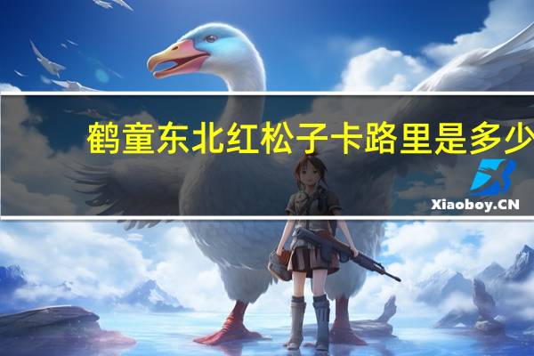 鹤童 东北红松子卡路里是多少