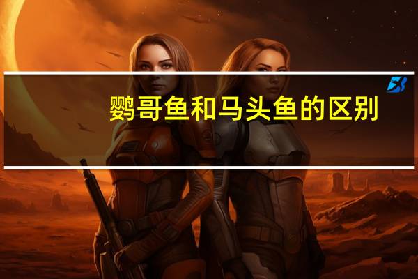 鹦哥鱼和马头鱼的区别