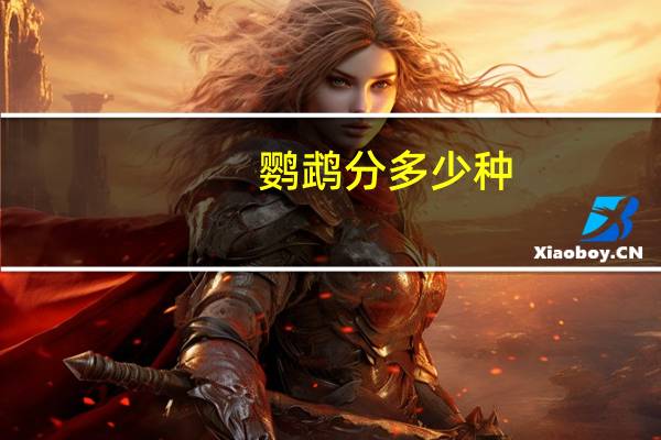 鹦鹉分多少种