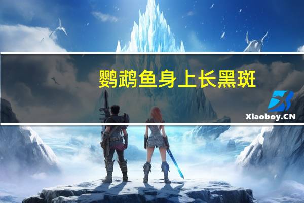 鹦鹉鱼身上长黑斑