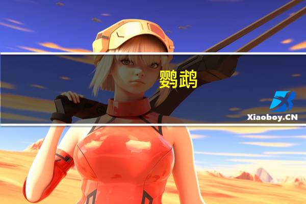 鹦鹉（关于鹦鹉的介绍）