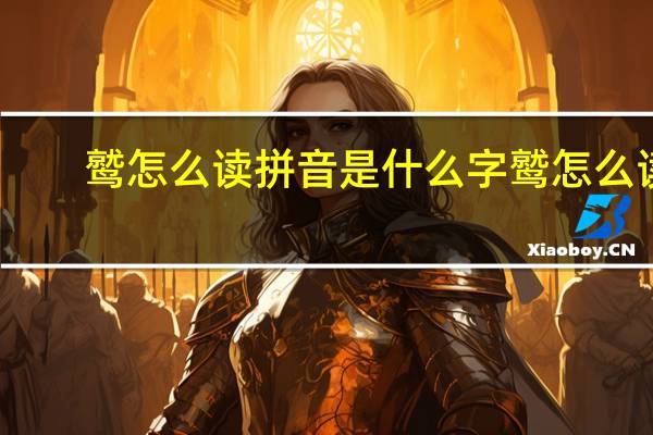 鹫怎么读拼音是什么字 鹫怎么读