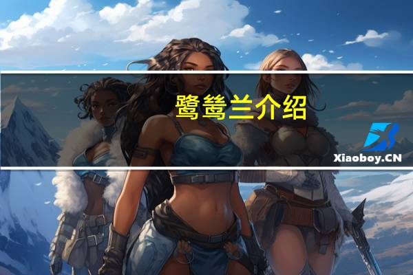 鹭鸶兰介绍