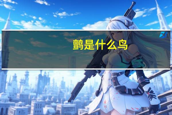 鹯是什么鸟(鹡鸰-鹡鸰属鸟类简介)