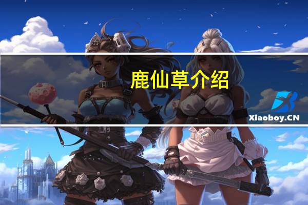 鹿仙草介绍