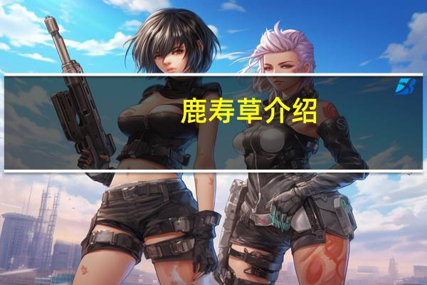 鹿寿草介绍