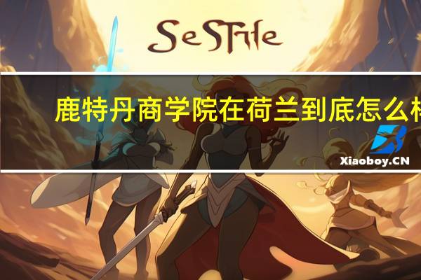 鹿特丹商学院在荷兰到底怎么样