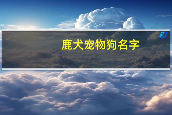 鹿犬宠物狗名字