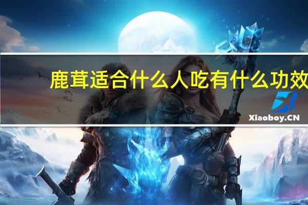 鹿茸适合什么人吃有什么功效（鹿茸适合什么人吃）