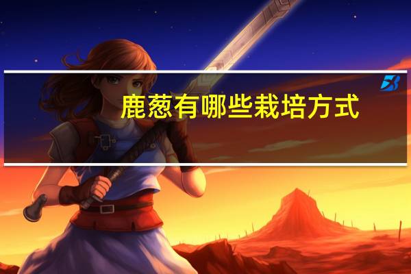 鹿葱有哪些栽培方式