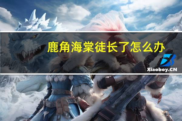 鹿角海棠徒长了怎么办
