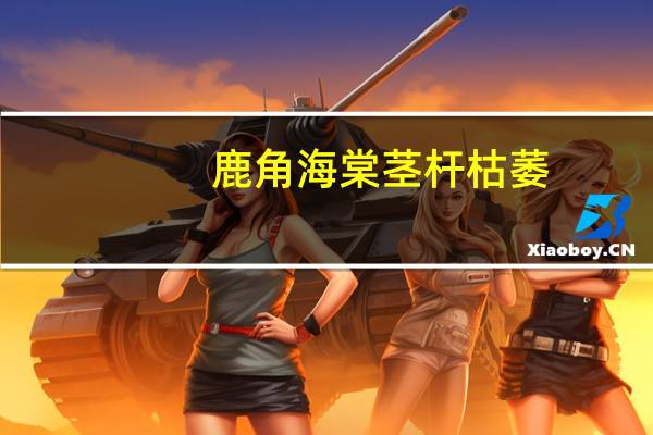 鹿角海棠茎杆枯萎