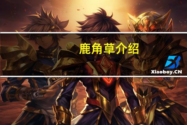 鹿角草介绍