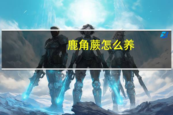 鹿角蕨怎么养