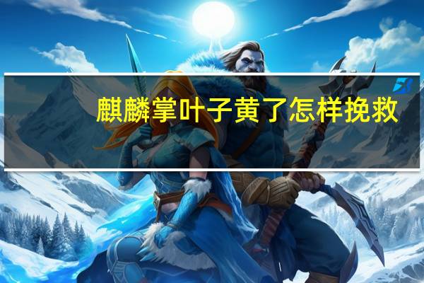 麒麟掌叶子黄了怎样挽救