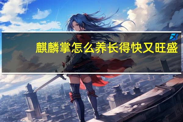 麒麟掌怎么养长得快又旺盛