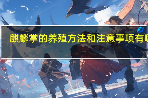麒麟掌的养殖方法和注意事项有哪些