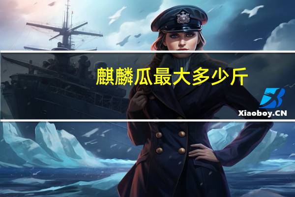 麒麟瓜最大多少斤