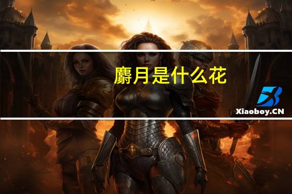 麝月是什么花