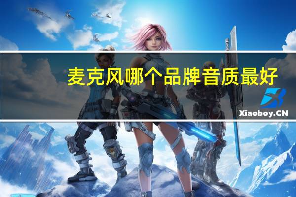 麦克风哪个品牌音质最好（电脑怎么测试麦克风有没有声音）