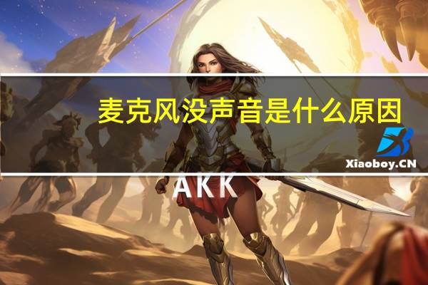 麦克风没声音是什么原因（麦克风没声音）
