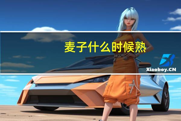 麦子什么时候熟