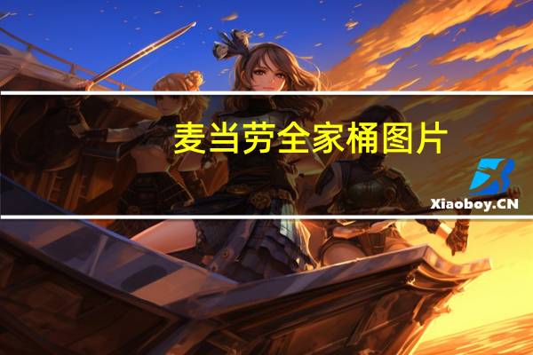 麦当劳全家桶图片(麦当劳全家桶)
