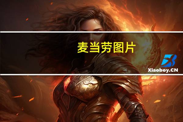 麦当劳图片（麦当劳 半价）