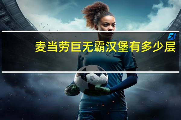 麦当劳巨无霸汉堡有多少层