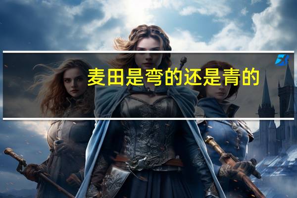 麦田是弯的还是青的
