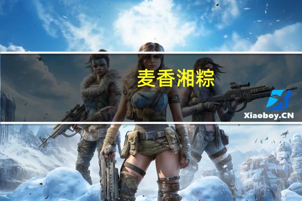 麦香 湘粽(蛋黄大肉粽)的热量是多少