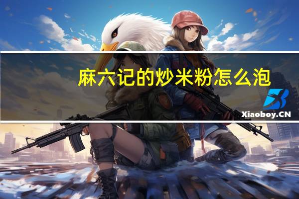 麻六记的炒米粉怎么泡