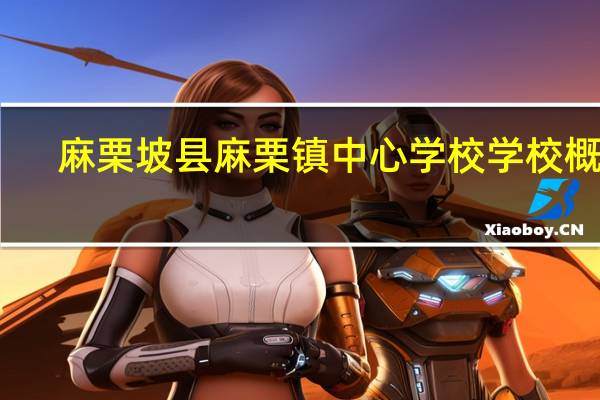 麻栗坡县麻栗镇中心学校学校概况