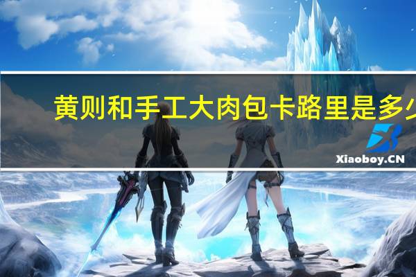 黄则和 手工大肉包卡路里是多少