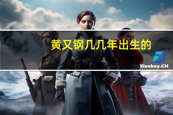 黄又钢几几年出生的（黄又南简介）
